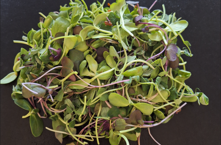 mix